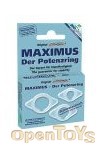 MAXIMUS der Potenzring - gemischt (3er Set) (Joydivision)