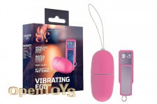 40 Speed Remote Vibrating Egg - Pink 