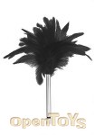 Touche Feather Black (Shots Toys)