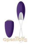 R1 Remote - Violet/Chrome (OVO)