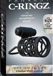 Thick Dick Silicone Vibrating Cage - Black (Pipedream - Fantasy C-Ringz)