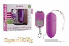 Rechargeable Vibrating Egg Purple - Big Size 