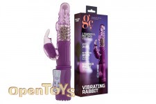 Vibrating Rabbit - Purple 