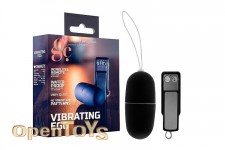 40 Speed Remote Vibrating Egg - Black 